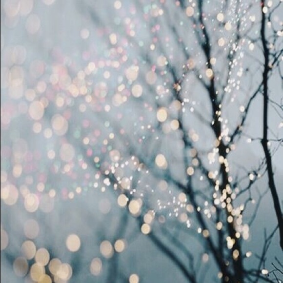 Meet your Posher, Molly - Picture 1 of 1